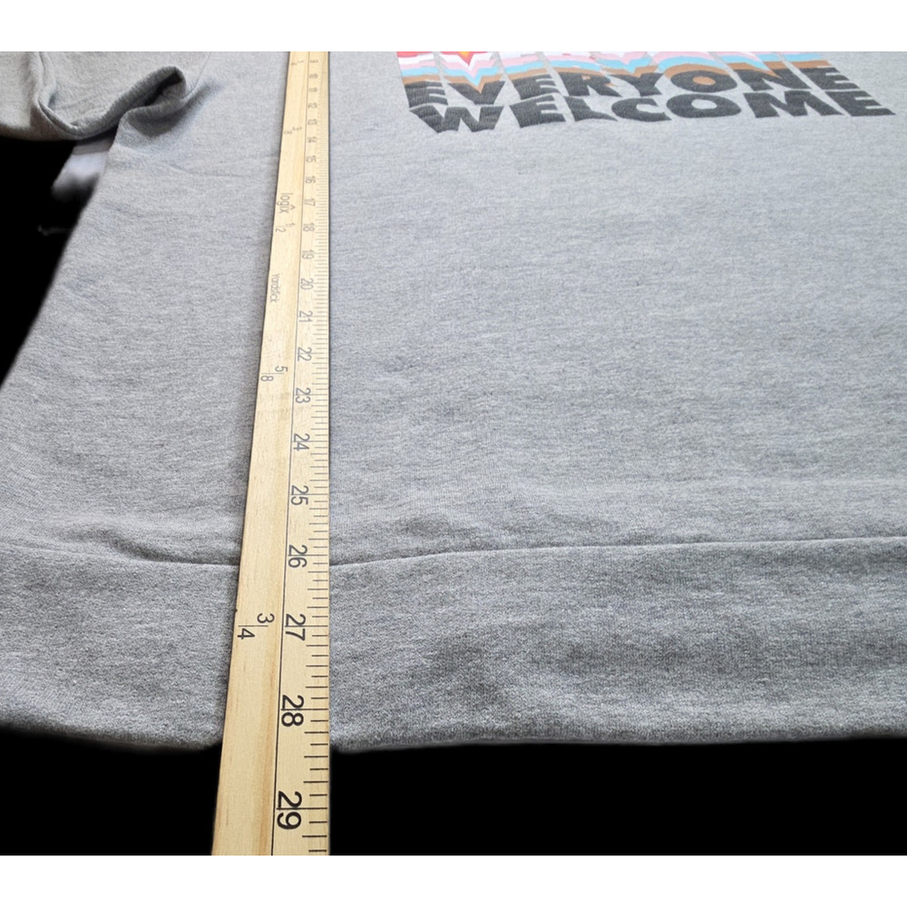 TakePride Everyone Welcome Hoodie XXL Gray Rainbow Graphic Pullover - Picture 6 of 7